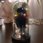 Bouquet de roses sous cloche, un cadeau intemporel
