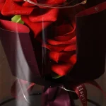 Roses éternelles sous verre, décoration raffinée