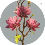 Branche de Magnolia, décoration intérieure