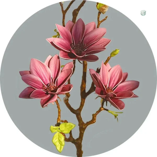 Branche de Magnolia, décoration intérieure