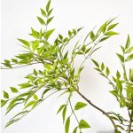 Branche de bambou faux pour embellir votre espace