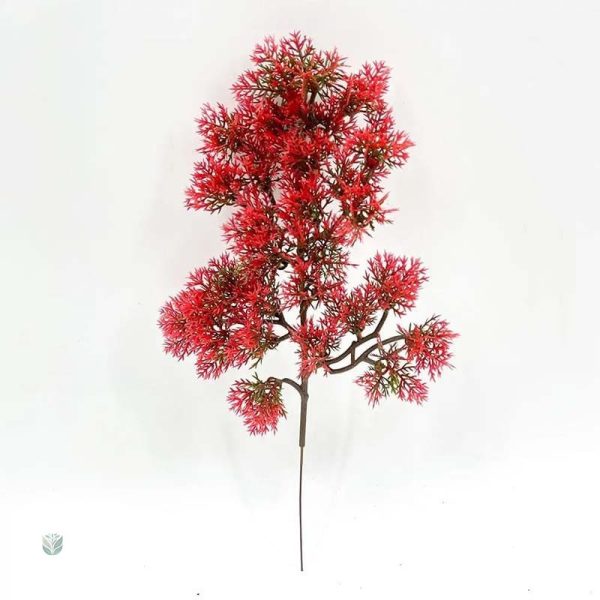 Branche de cyprès pour créations florales personnalisées