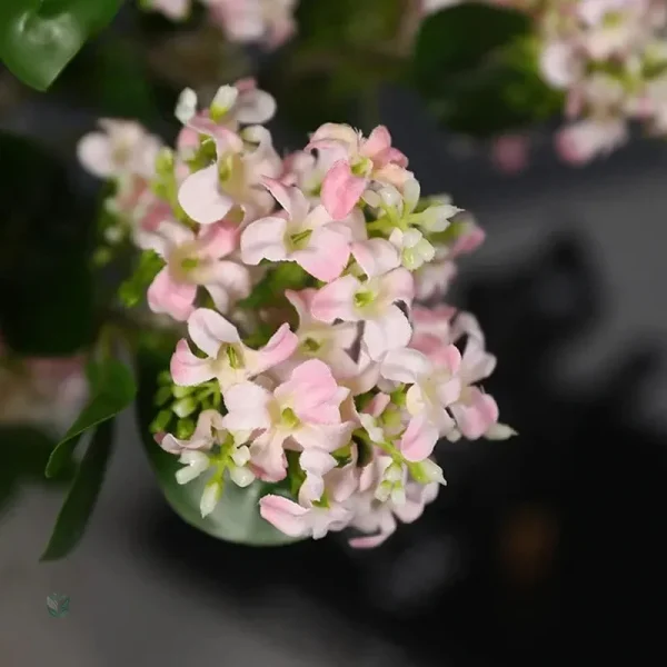 Fleur Osmanthus artificielle pour décoration intérieure