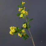 Branche d'Osmanthus en faux pour embellir votre espace
