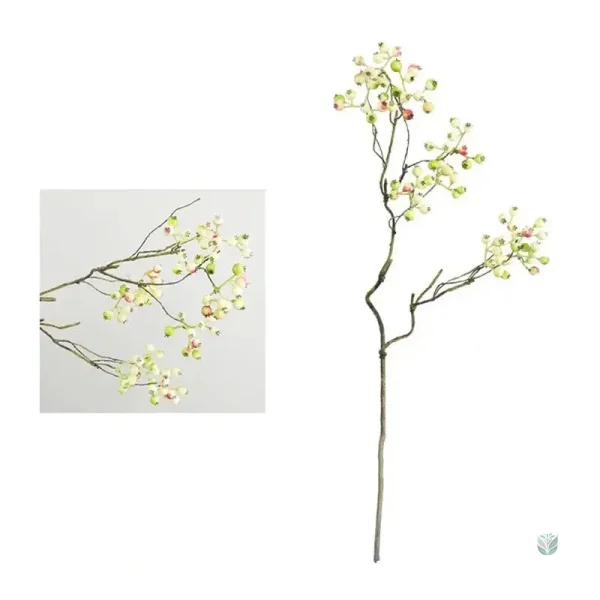 Branche de canneberge verte pour créations artistiques