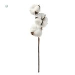 Branche en coton pour arrangements floraux modernes