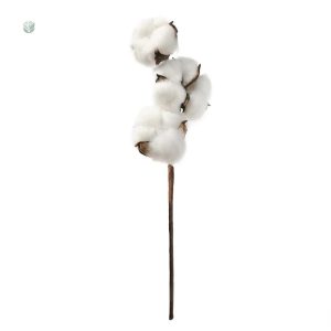 Branche en coton pour arrangements floraux modernes