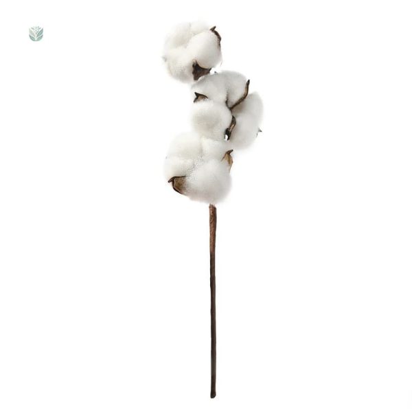 Branche en coton pour arrangements floraux modernes