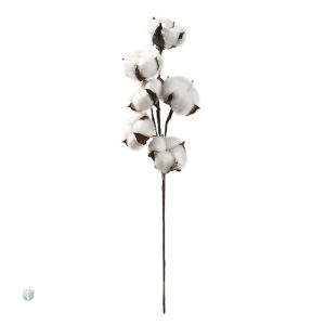Branche de coton douce et réaliste pour maison
