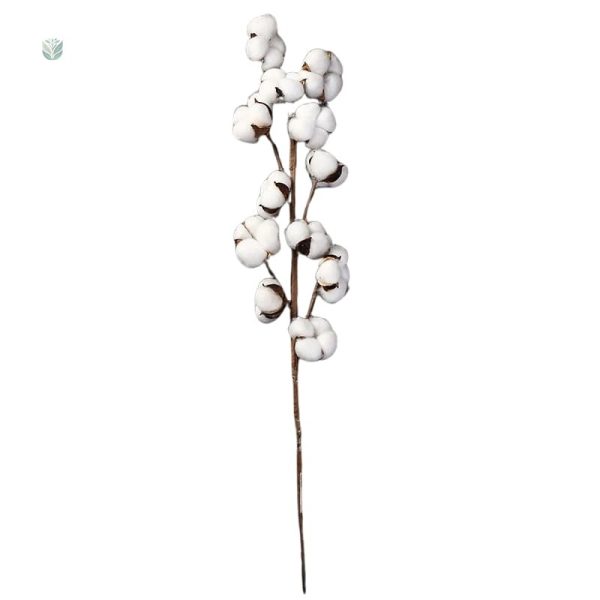 Branche de coton artificielle pour embellir les espaces