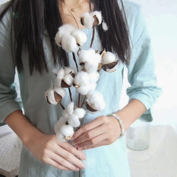 Branche de coton stylisée pour décorations saisonnières