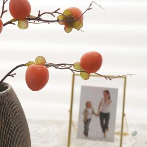 Branche de kaki pour décoration intérieure