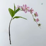 Jasmin en branche, idéal pour arrangements floraux
