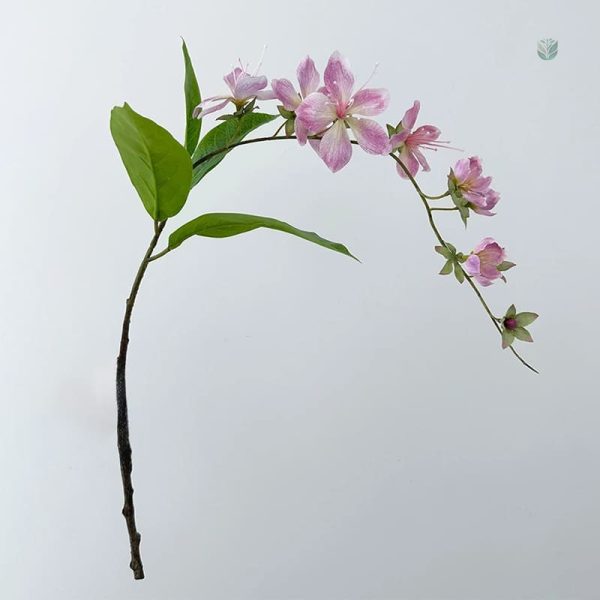 Jasmin en branche, idéal pour arrangements floraux