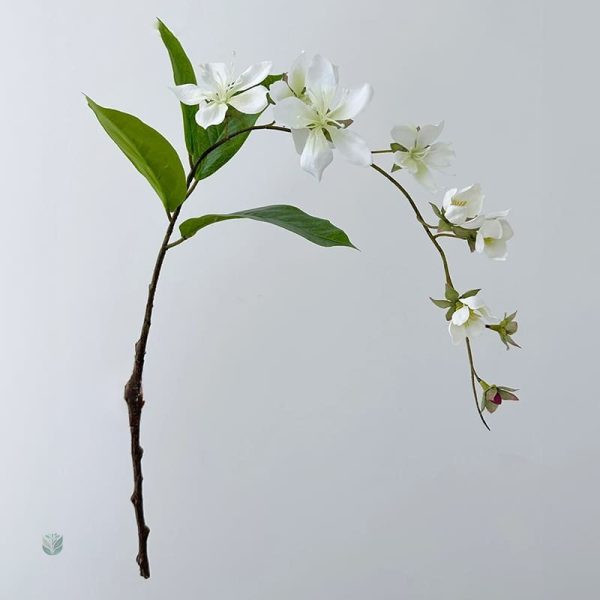 Branche de Jasmin à ajouter à vos créations décoratives