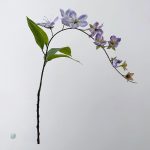 Élégante branche de Jasmin pour embellir votre intérieur