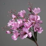 Branche de Magnolia, choix idéal pour déco de mariage