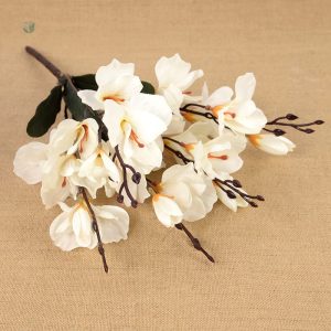 Branche de Magnolia réaliste pour embellir votre espace