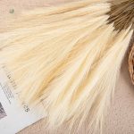 Branche de Pampa artificielle, ajout élégant pour votre intérieur