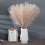 Branche Pampa, élément de style pour la maison