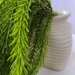 Plante tombante en pin synthétique pour un look naturel