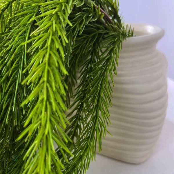 Plante tombante en pin synthétique pour un look naturel