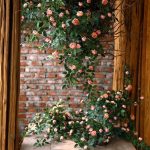 Branche de Rose pour décoration intérieure