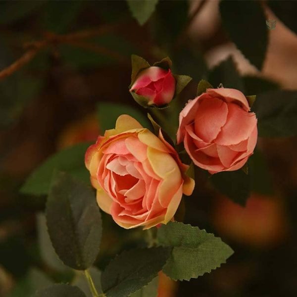 Branche de Rose colorée pour vases