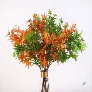 Branche d'Érable en couleur automnale
