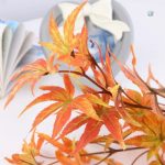 Branche d'Érable pour un effet naturel dans votre décor