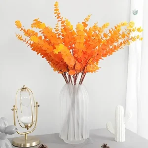 Branche d'Eucalyptus pour créations florales