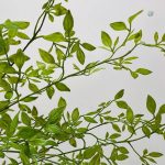 Faux feuillage pour embellir vos espaces