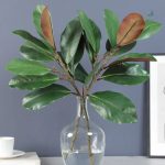 Feuilles de Magnolia pour décoration intérieure élégante
