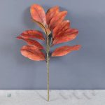 Branche de Magnolia avec feuilles, effet naturel