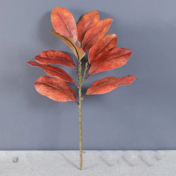 Branche de Magnolia avec feuilles, effet naturel