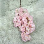 Détails d'une Branche Fleur de Cerisier