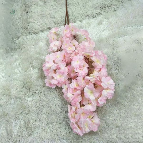 Détails d'une Branche Fleur de Cerisier