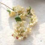 Branche florale cerisier, effet réaliste