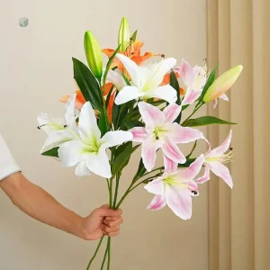 Fleurs de lys en décoration intérieure durable