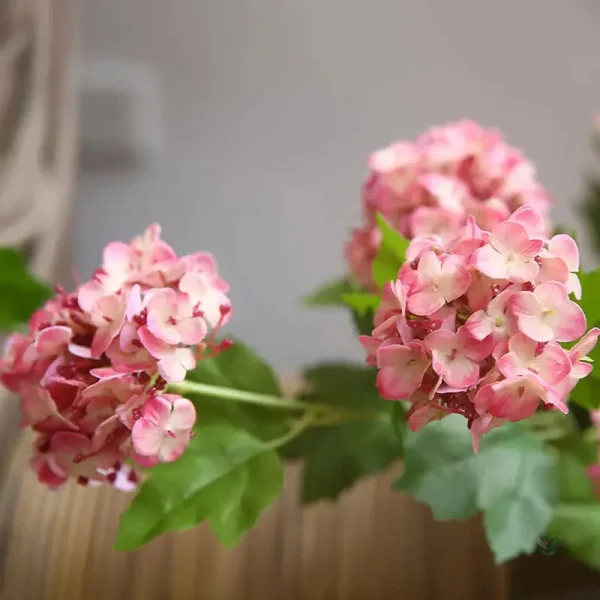 Branche d'hortensia couleur vive pour décoration