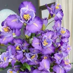 Branche iris, alternative durable aux fleurs naturelles