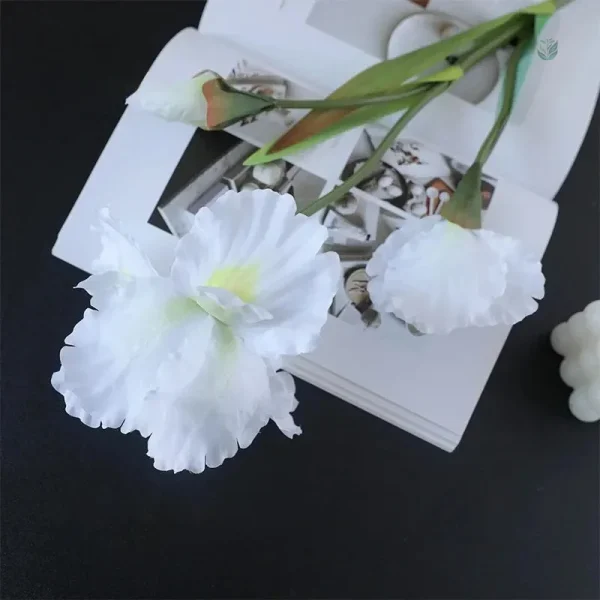 Branche d'iris pour une touche de couleur moderne