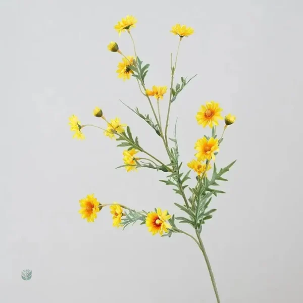 Branche de marguerite pour embellir votre espace