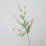 Branche de marguerite blanche pour décoration