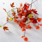 Branches d'automne pour un style naturel et accueillant