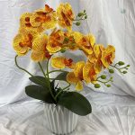 Orchidées en branches pour décoration intérieure