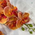 Branches d'Orchidée colorées pour un intérieur vivant