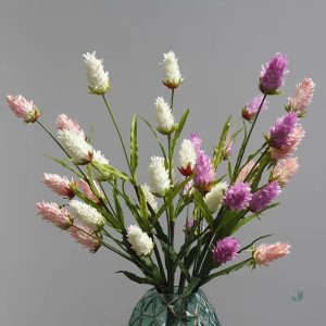 Broméliacée élégante pour décoration intérieure