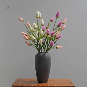 Plante d'intérieur Bromeliad en promotion Cyber Monday