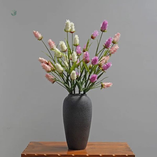 Plante d'intérieur Bromeliad en promotion Cyber Monday
